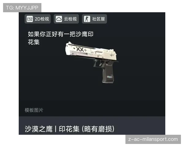 CS2皮肤印花大赛：这组四连贴纸简直是武器的灵魂💎（393 ）